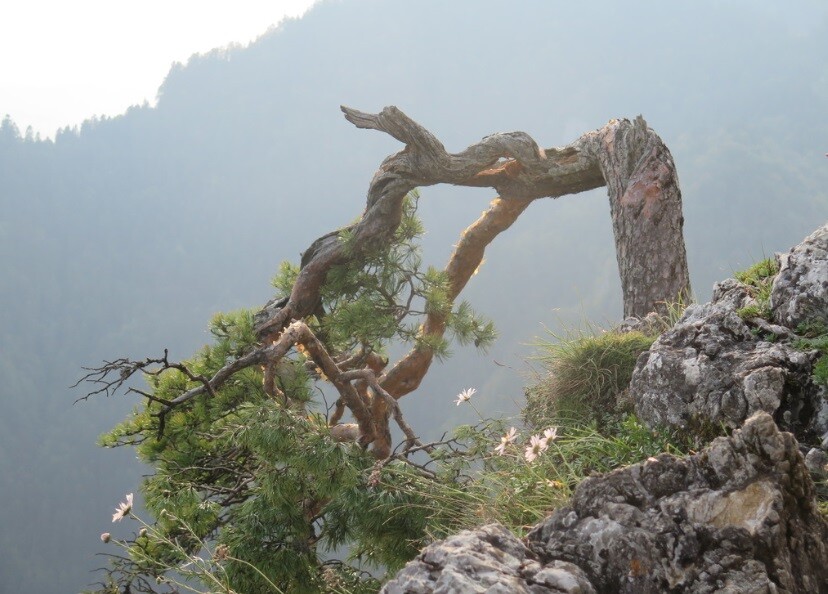 fot. Maciej Pałahicki/RMF24.pl