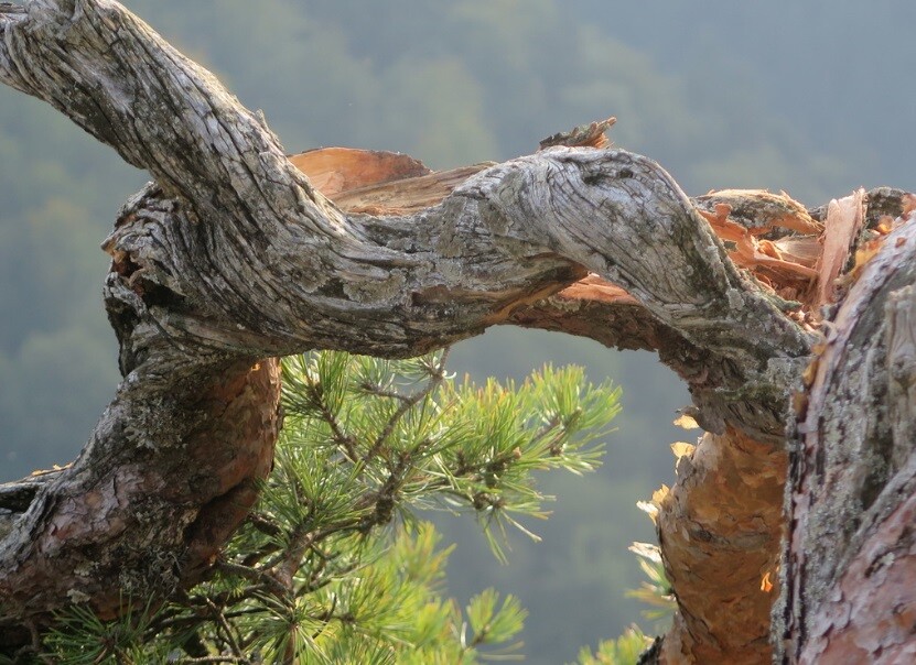 fot. Maciej Pałahicki/RMF24.pl