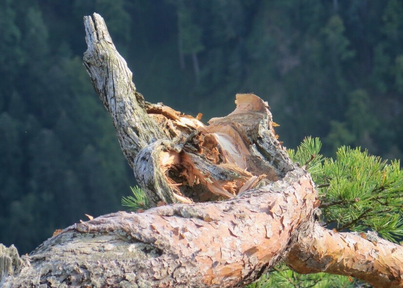 fot. Maciej Pałahicki/RMF24.pl